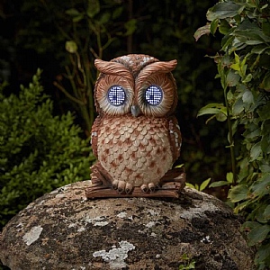 Smart Garden Blinkin' Owl Solar Light