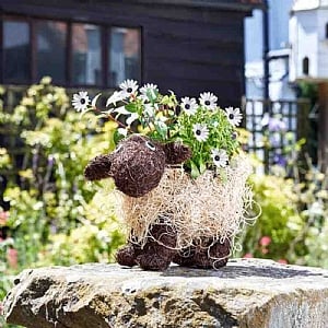 Smart Garden Shelley Sheep Rattan Planter