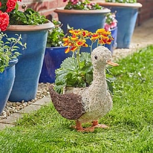 Smart Garden Daphne Duck Rattan Planter