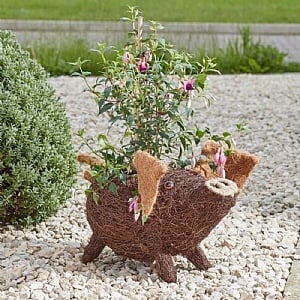 Smart Garden Porky Pig Rattan Planter