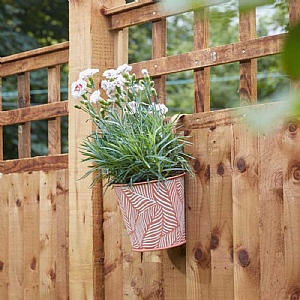 Smart Garden Fence and Balcony 6in Hanging Pot Fern - Terracotta