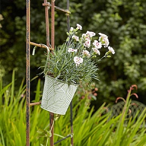 Smart Garden Fence and Balcony 6in Hanging Pot Fern - Sage