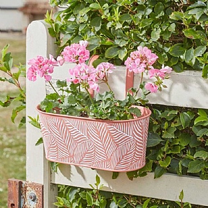 Smart Garden Fence and Balcony 12in Hanging Pot Fern - Terracotta