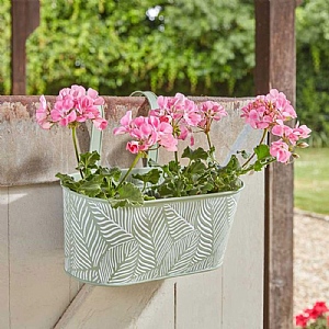 Smart Garden Fence and Balcony 12in Hanging Pot Fern - Sage