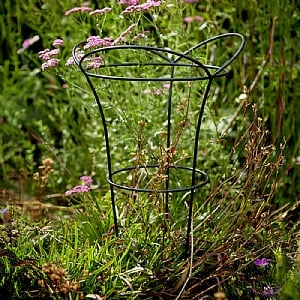 Tom Chambers Cottage Garden Basket Black (Medium)