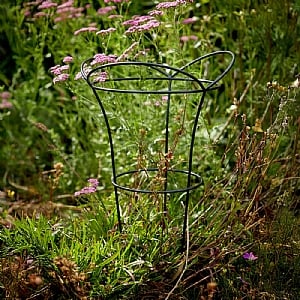 Tom Chambers Cottage Garden Basket Frame Black (Large)