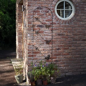 Tom Chambers Bee & Butterfly Trellis (1.8m)