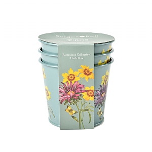 Burgon & Ball RHS Asteraceae Herb Pots Gift Set