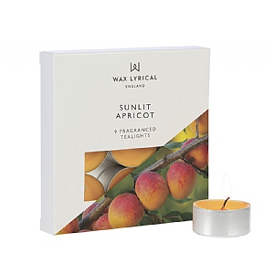 Wax Lyrical Made In England Box of 9 Tealights - Sunlit Apricot