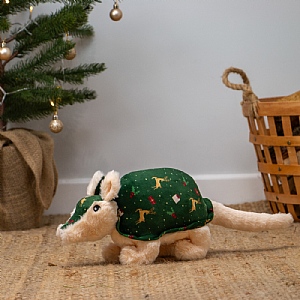 Ancol Arnold Armadillo Dog Toy