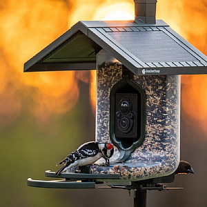 FeatherSnap Scout Wi-Fi Solar Powered Smart Bird Feeder