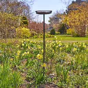 Tom Chambers Essential Seed Feeding Station