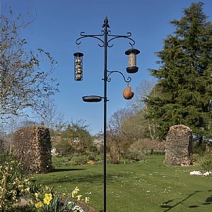 Tom Chambers Piazza Feeding Station