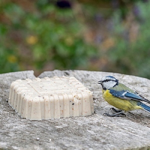National Trust Original Peanut Cake (300g)
