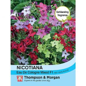 Thompson & Morgan Nicotiana Eau De Cologne Mixed F1 Hybrid