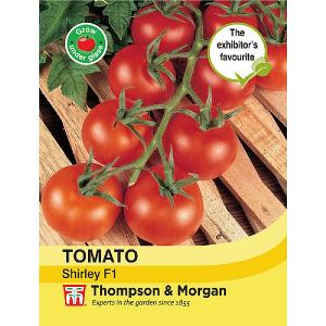 Thompson & Morgan Tomato Shirley F1 Hybrid Seeds