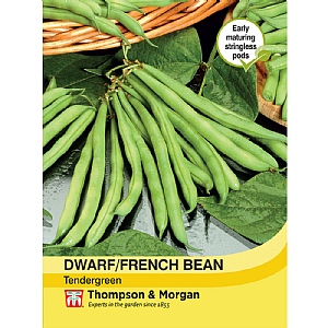 Dwarf Bean Tendergreen - 80 Seeds