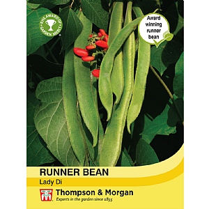 Runner Bean Lady Di - 40 Seeds