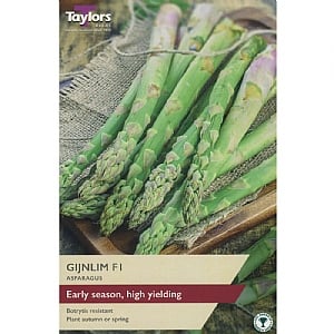 Asparagus Gijnlim F1 - 2 Crowns