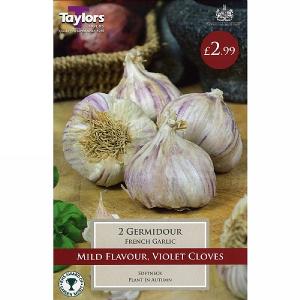 French Garlic Germidour (2 Bulbs)