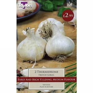 French Garlic Thermidrome (2 Bulbs)