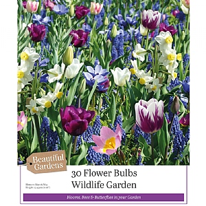 Wildlife Garden Blue Shades Collection (50 Bulbs)