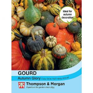 Thompson & Morgan Gourd Autumn Glory