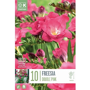 Freesia 'Double Pink' (10 Bulbs)