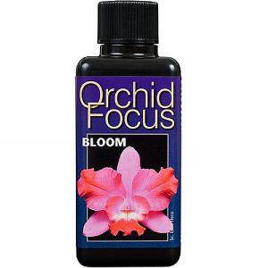 300ml Orchid Focus Bloom