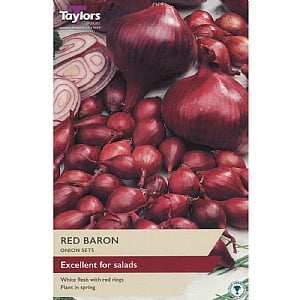 Onion Red Baron (50 Sets)