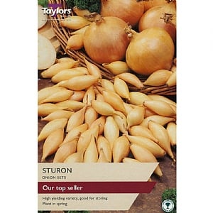 Onion Sturon (50 Sets)