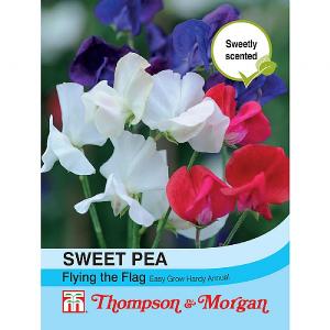 Thompson & Morgan Sweet Pea Flying The Flag