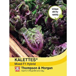 Thompson & Morgan Kalettes« Garden Mix F1 Hybrid