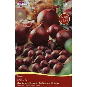 Onion 'Electric' (50 Sets)