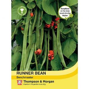 Thompson & Morgan Runner Bean Benchmaster Seeds