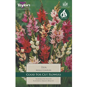 Ixias Mixed Colours (25 Bulbs)