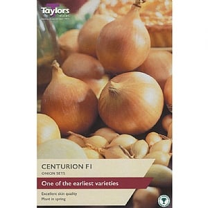 Centurion Onion F1 (50 Sets)