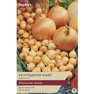 Onion Stuttgarter Giant (50 Sets)