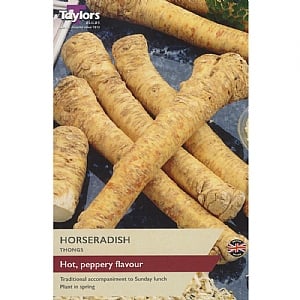 Horseradish Bare Root (2 Roots)