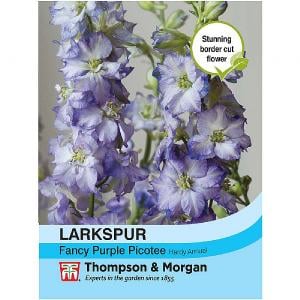 Thompson & Morgan Larkspur Fancy Purple Picotee