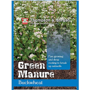 Thompson & Morgan Green Manure Buckwheat Seeds