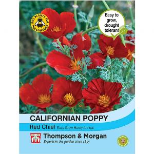 Thompson & Morgan Californian Poppy Red Chief