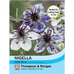 Thompson & Morgan Nigella Delft Blue