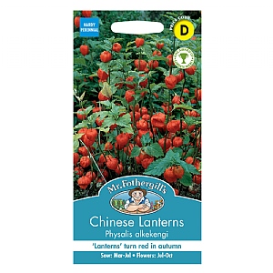 Mr Fothergills Chinese Lanterns Physalis Alkekengi Seeds