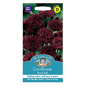 Mr Fothergills Cornflower Black Ball Seeds