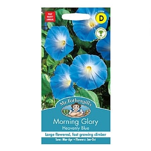 Mr Fothergills Morning Glory Heavenly Blue Seeds