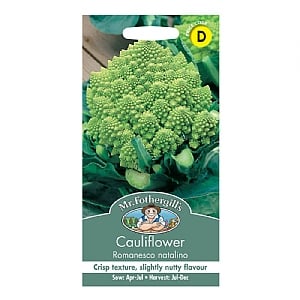 Mr Fothergills Cauliflower Romanesco Natalino Seeds