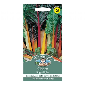 Mr Fothergills Chard Bright Lights Seeds