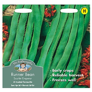 Mr Fothergills Runner Bean Scarlet Emperor Seeds