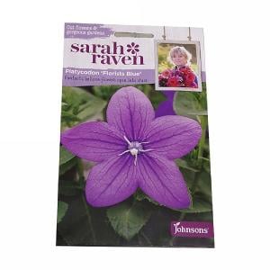 Sarah Raven Cutflower Collection Platycodon Florists Blue